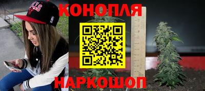 сатива Бузулук
