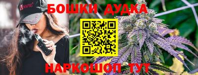 сатива Бузулук