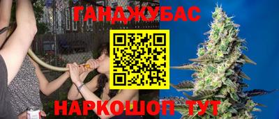 jwh Будённовск